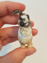 Load image into Gallery viewer, Pet memorial frames